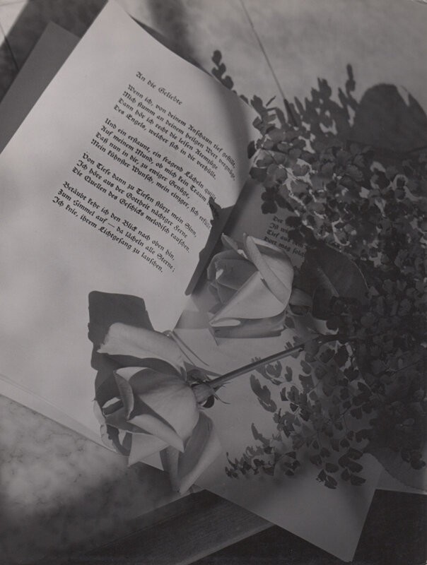 Розы в книге, 1957. Фотограф Элизабет Хазе