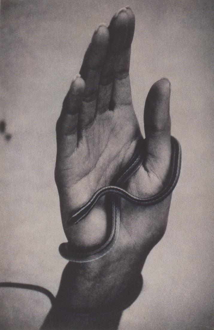 Рука, обвитая змеей. 1994 год. Фотограф Шейла Мецнер
