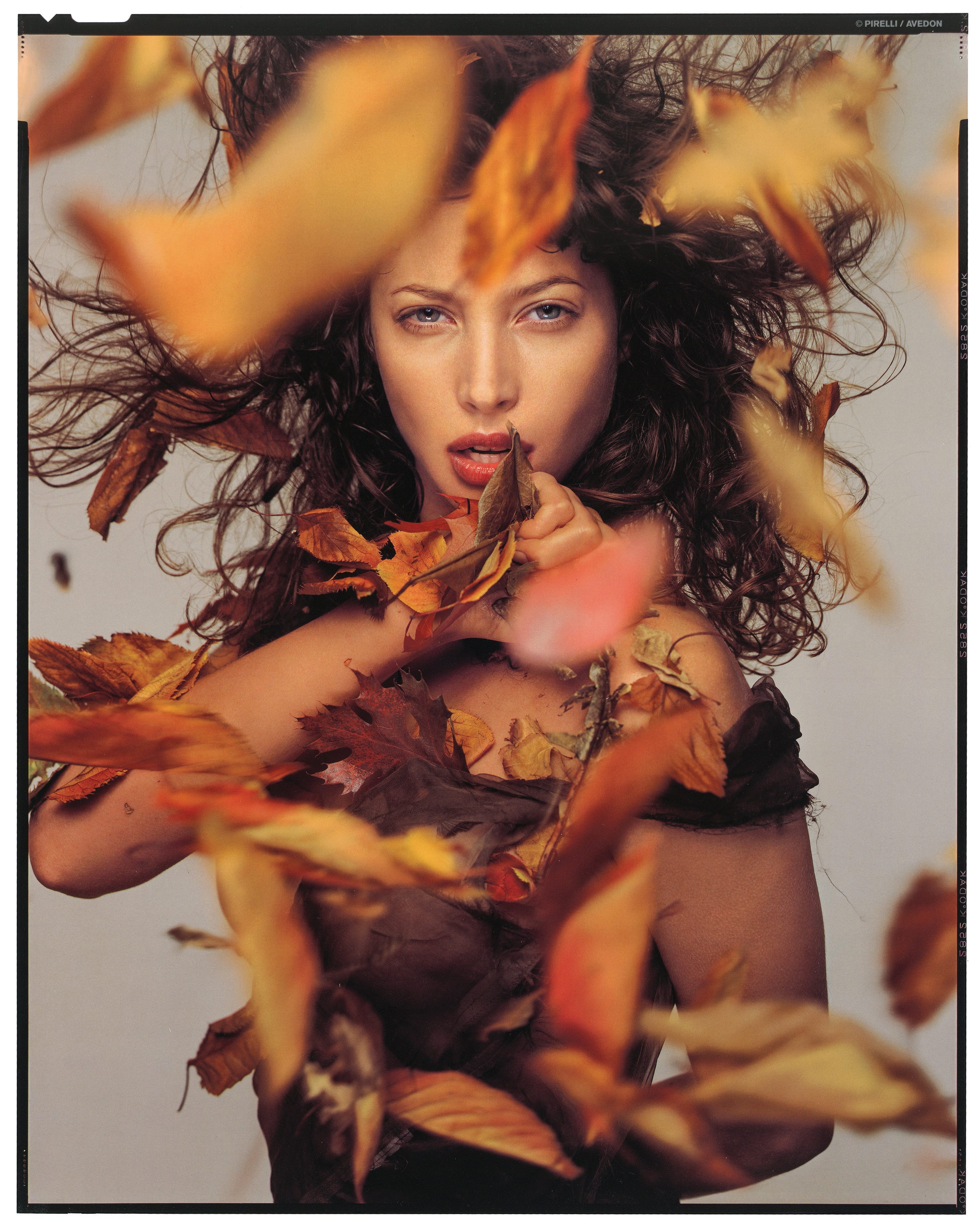 Кристи Тарлингтон. Календарь Пирелли, 1995. Фотограф Ричард Аведон