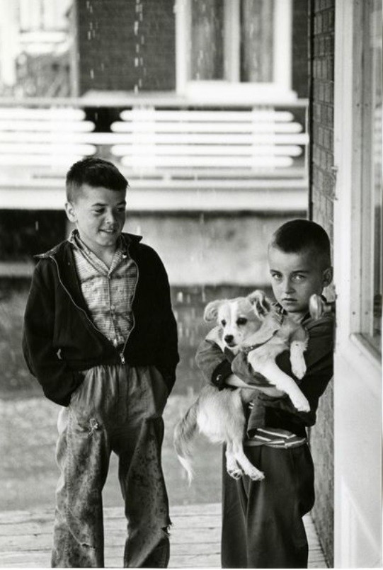 Два мальчика с собакой, 1960 год. Фотограф Жан-Филипп Шарбонье