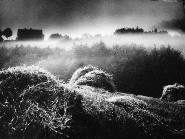 Туман, сено, 1970-е. Фотограф Вацловас Страукас