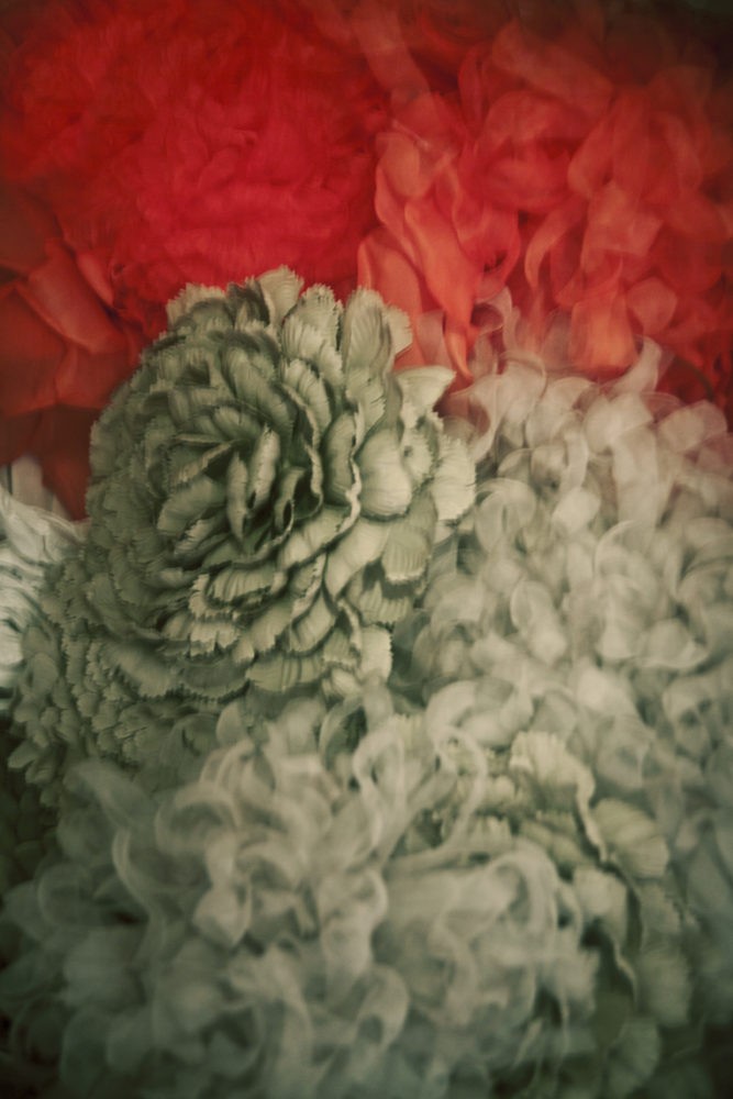 Джамбаттиста Валли, 2011 год. Фотограф Эрик Мадиган Хек