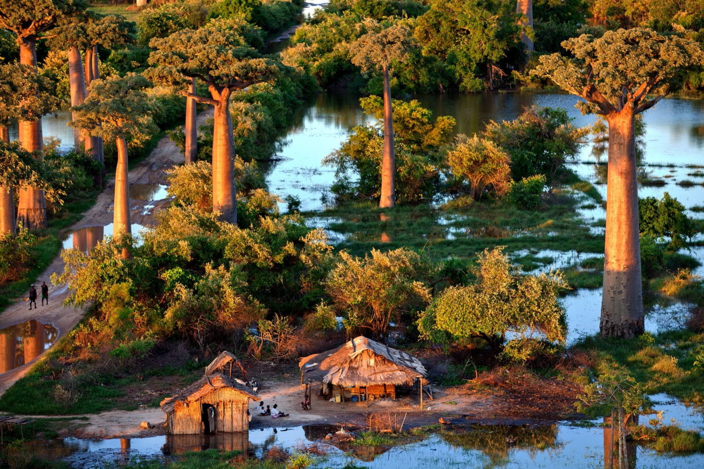 Баобабы, Мадагаскар. Фотограф Паскаль Мэтр