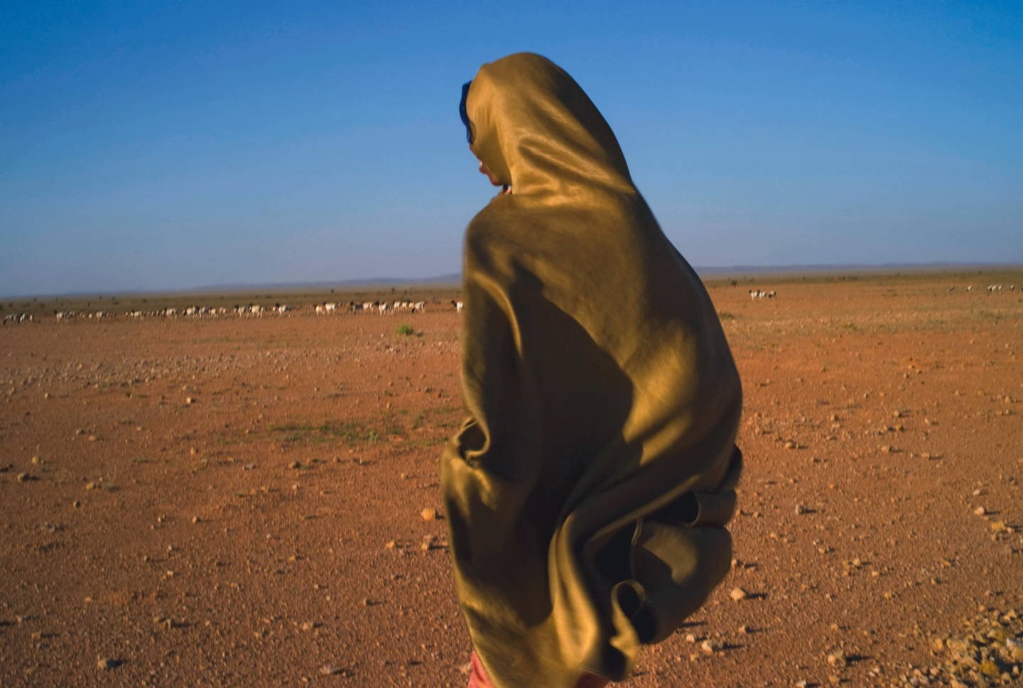 Женщина-кочевница со своим стадом животных. Сомалиленд. Фотограф Паскаль Мэтр