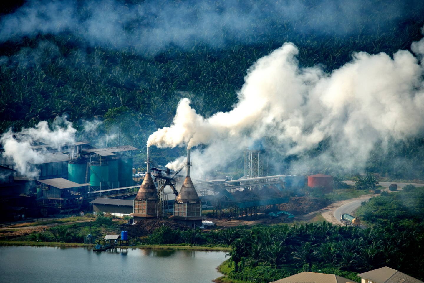 Завод по переработке пальмового масла на Борнео, Малайзия. Фотограф Паскаль Мэтр