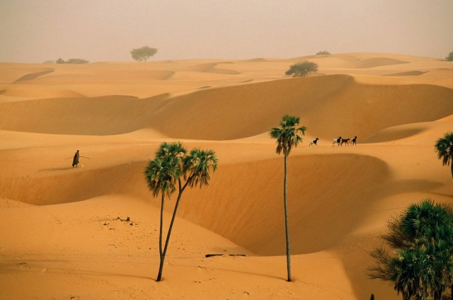Пастух в пустыне. Фотограф Паскаль Мэтр