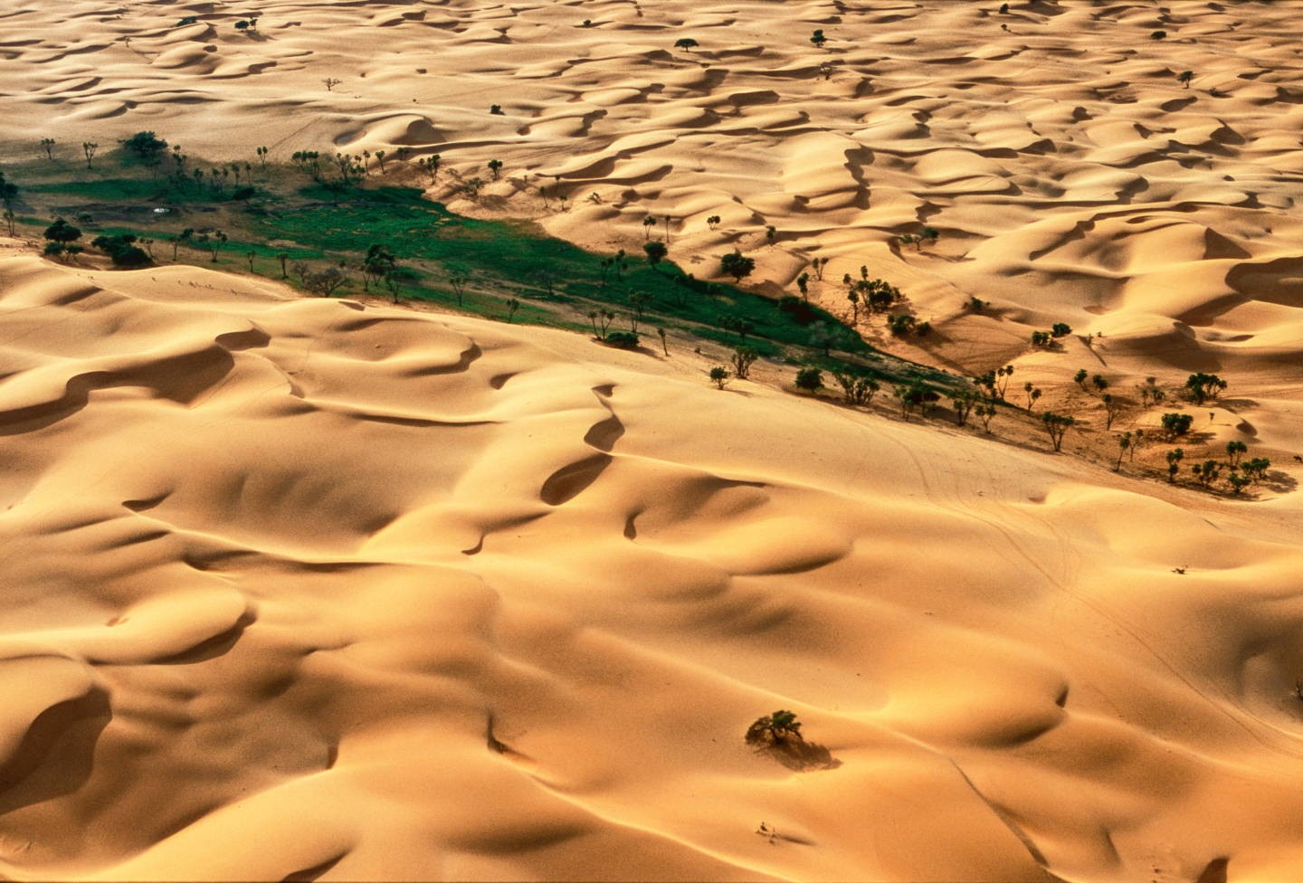 Дюны близ города Гудумария, Нигер. Фотограф Паскаль Мэтр