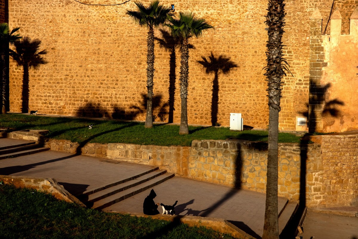 Человек с кошкой в Марокко. Фотограф Паскаль Мэтр