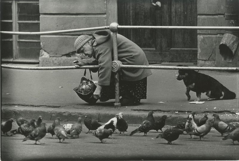 Хлеб для голубей, 1978. Фотограф Владимир Соколаев