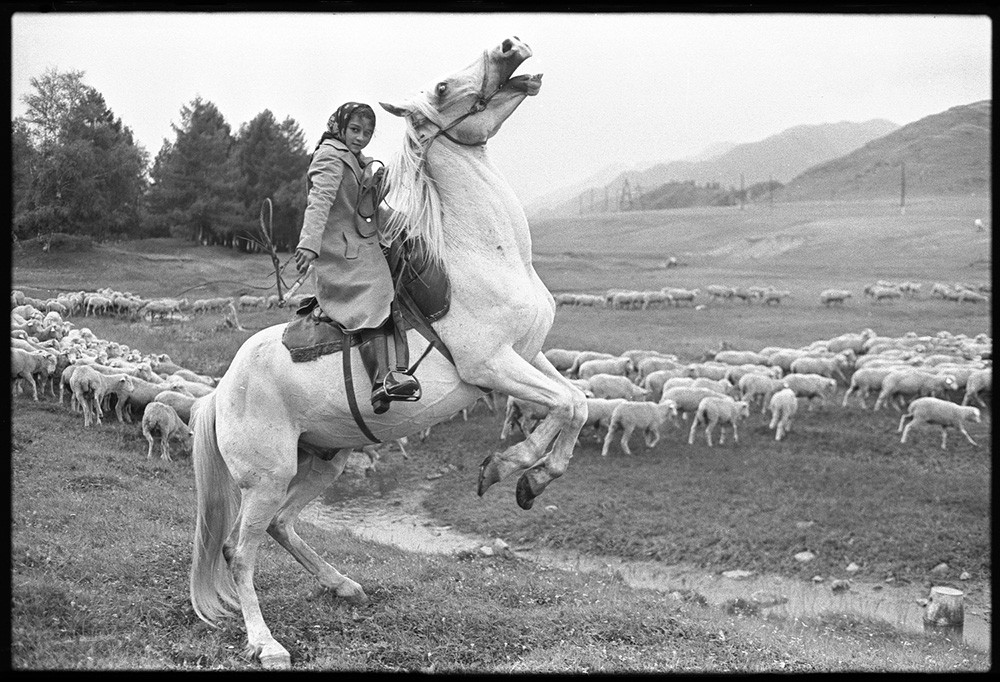 Цыганочка, пасущая овец. Окрестности Онгудая, Алтай, 1980. Фотограф Владимир Соколаев