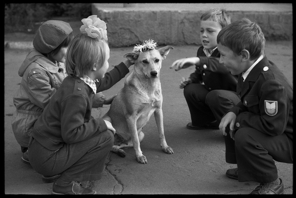 Венок для собаки в День знаний. Школа № 8, Новокузнецк, 1983. Фотограф Владимир Соколаев