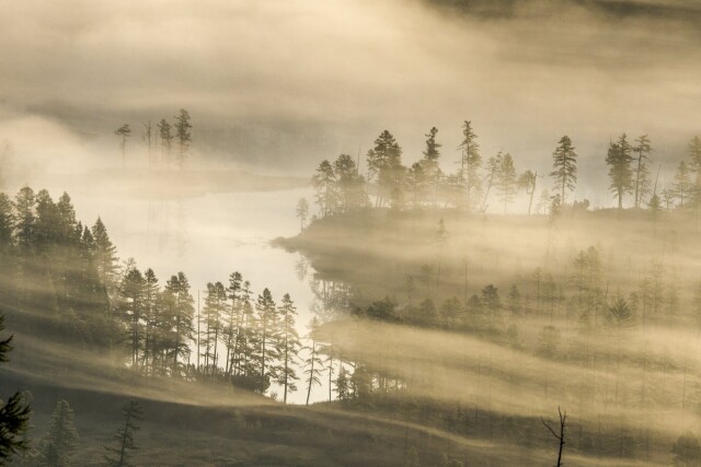 Номинант, 2021. Акварели туманного утра. На рассвете ленточный туман над озером. Автор Сергей Козлов