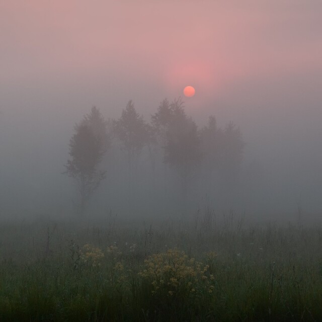 Номинант, 2021. Свежее утро. Густой туман скрывает солнце на невысоких берегах реки Оки. Фотограф WNDRDR