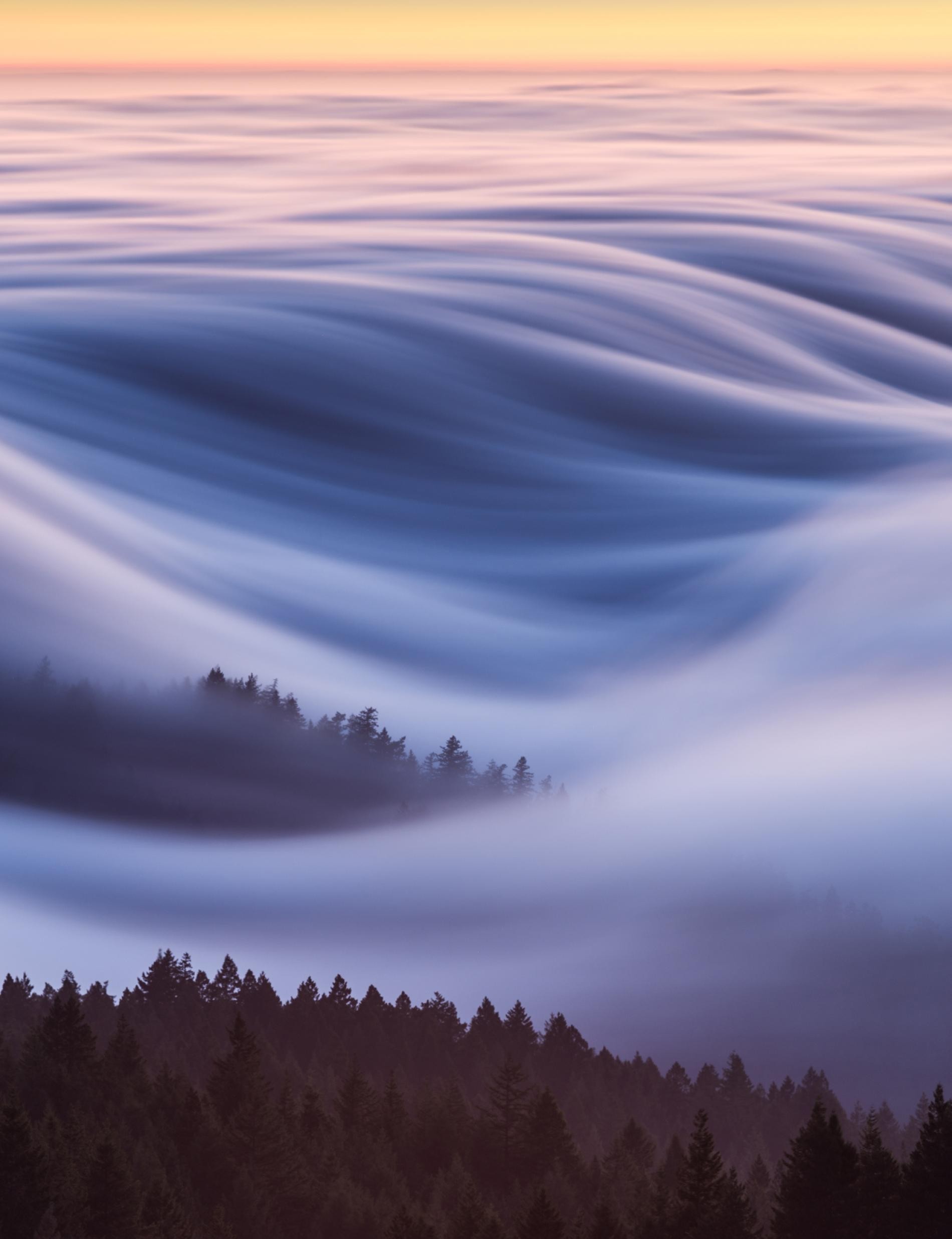 Волны тумана укрывают гору Тамальпайс в округе Марин, Калифорния. Автор Дэвид Одишо