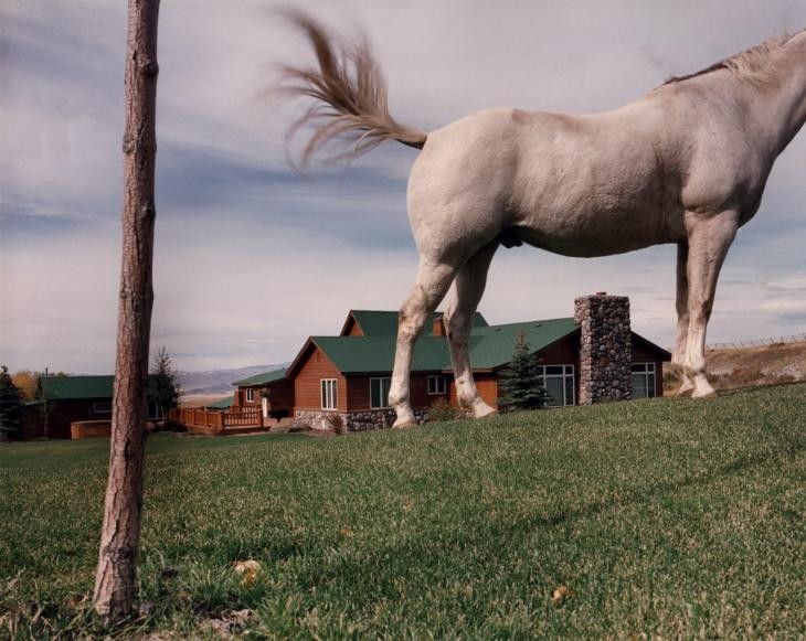 Ковбои, США, 1995. Фотограф Ларс Тунбьёрк