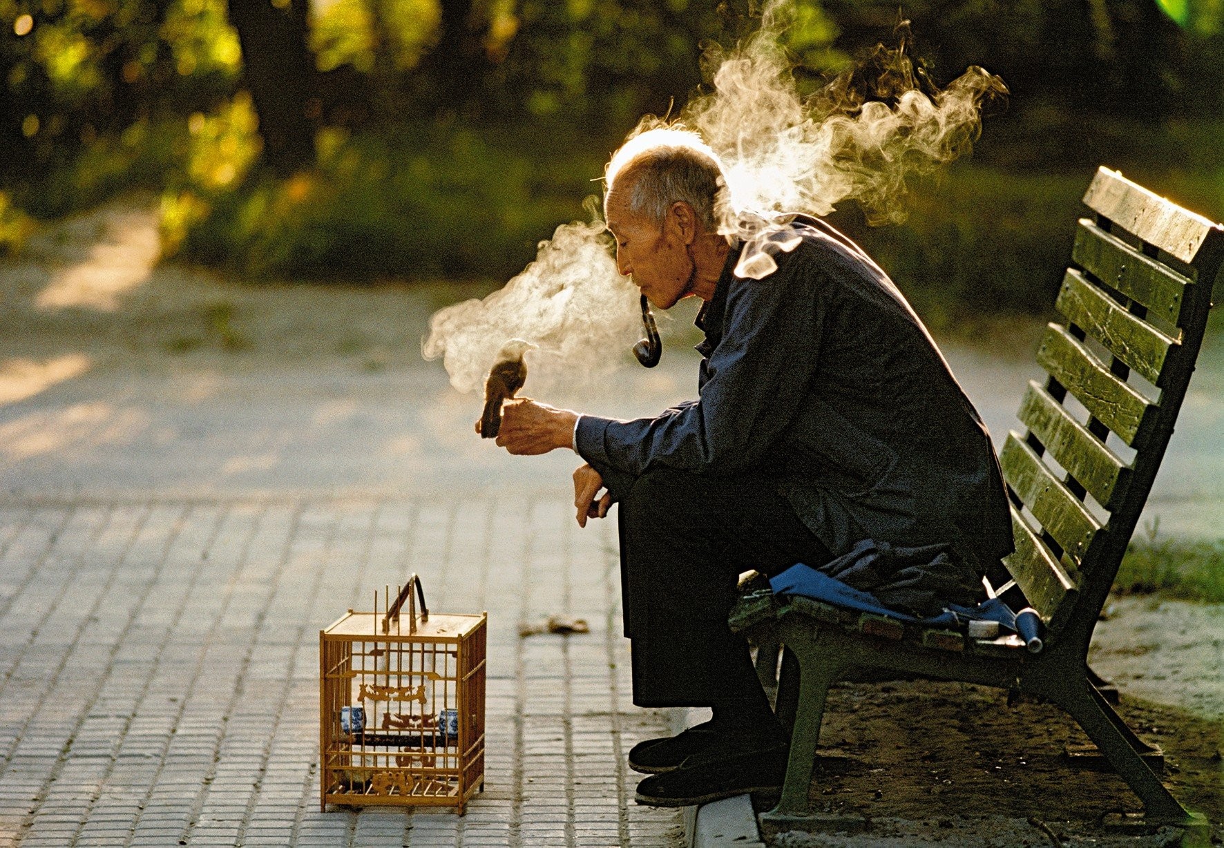 Старик со своей любимой птицей, парк Ритан, Пекин, Китай, 1984 год. Фотограф Томас Хёпкер