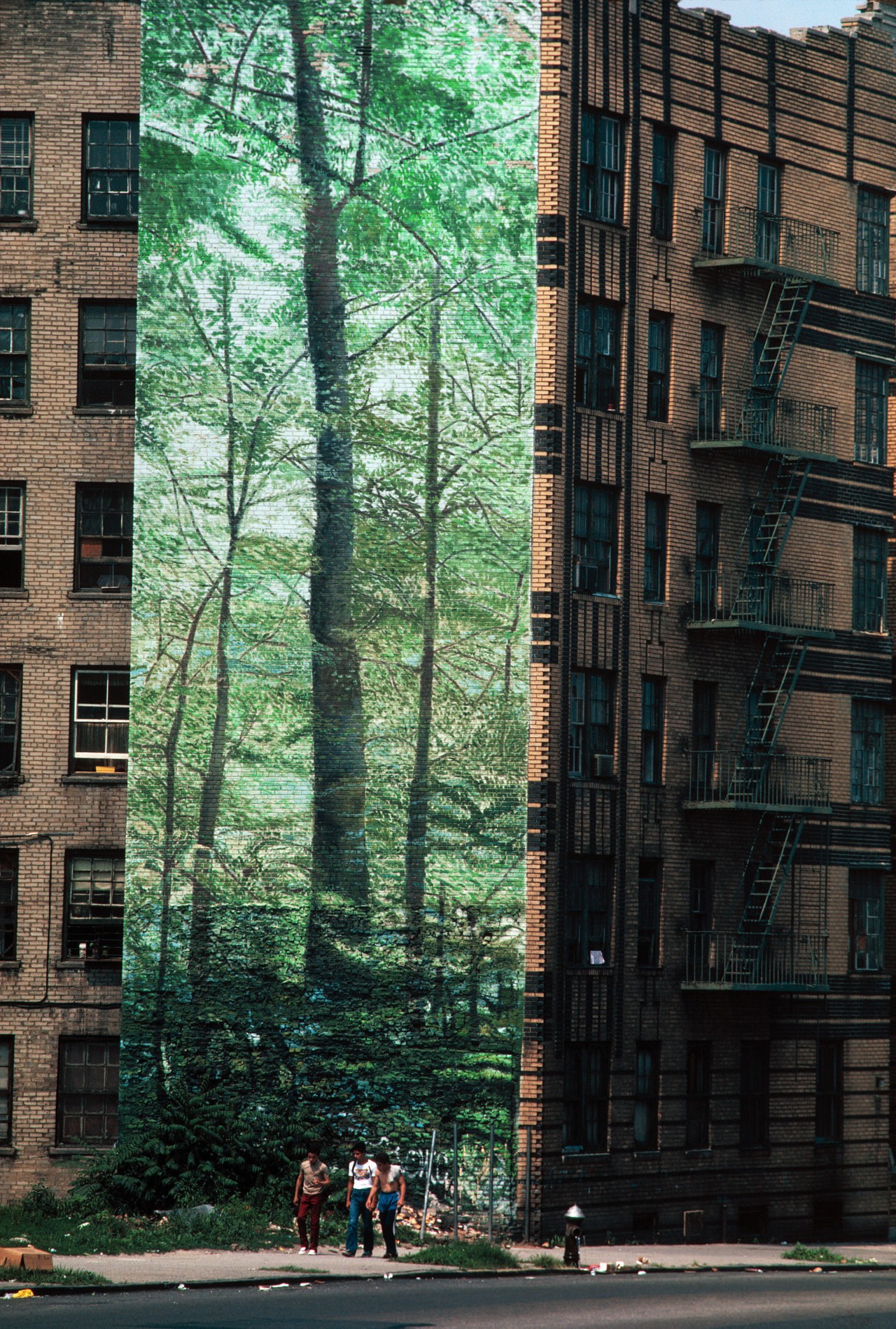 Банер с изображением леса в Южном Бронксе, Нью-Йорк, США. Фотограф Томас Хёпкер