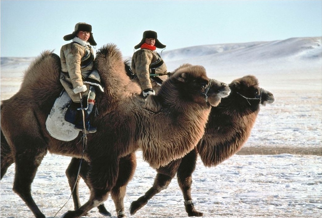 Катание на верблюдах. Баян-Нур, Внутренняя Монголия, Китай, 1982. Фотограф Хиродзи Кубота