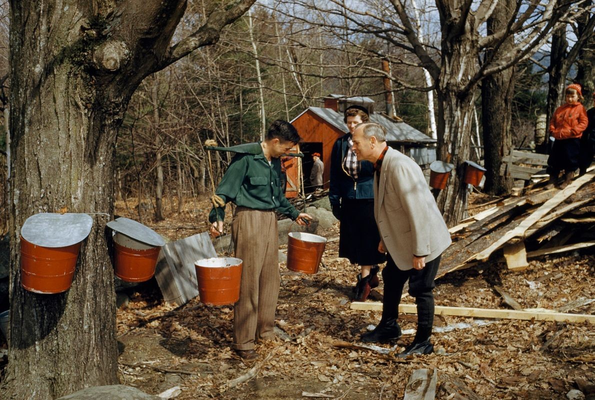 Производитель кленового сиропа в Нью-Гэмпшире, 1954. Фотограф Роберт Сиссон