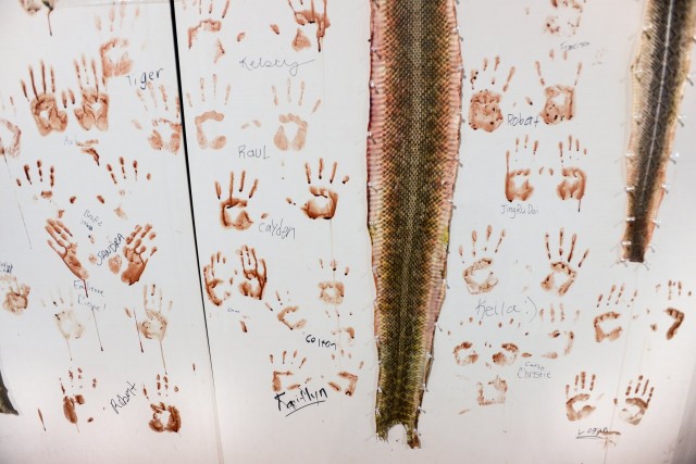 Приколотые к стене шкуры гремучих змей в окружении кровавых отпечатков рук тех, кто их сдирал во время ежегодной облавы в Суитуотере, штат Техас. Автор фото Джо-Энн МаКартур