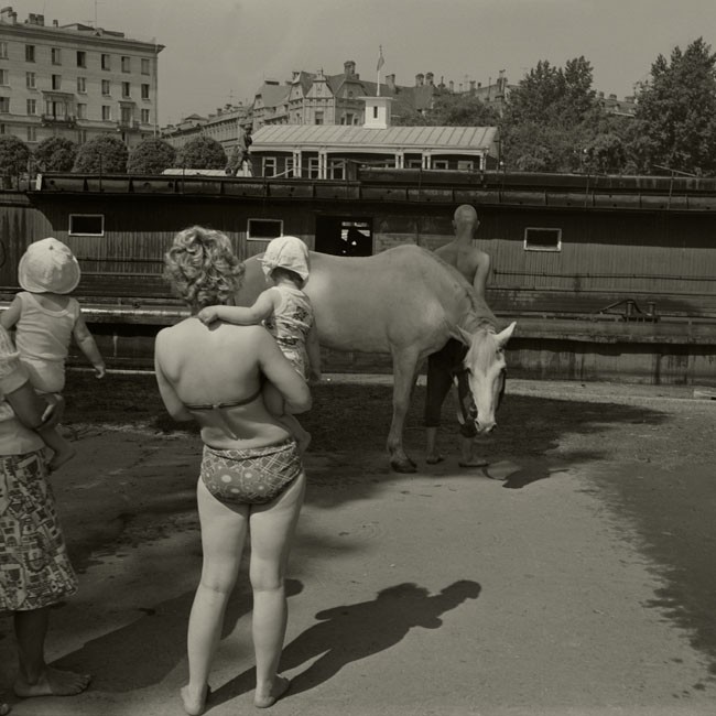 Конь, Ленинград, 1980 год. Фотограф Борис Савельев