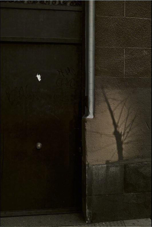 За тенью дерева, Мадрид, 2012. Фотограф Борис Савельев