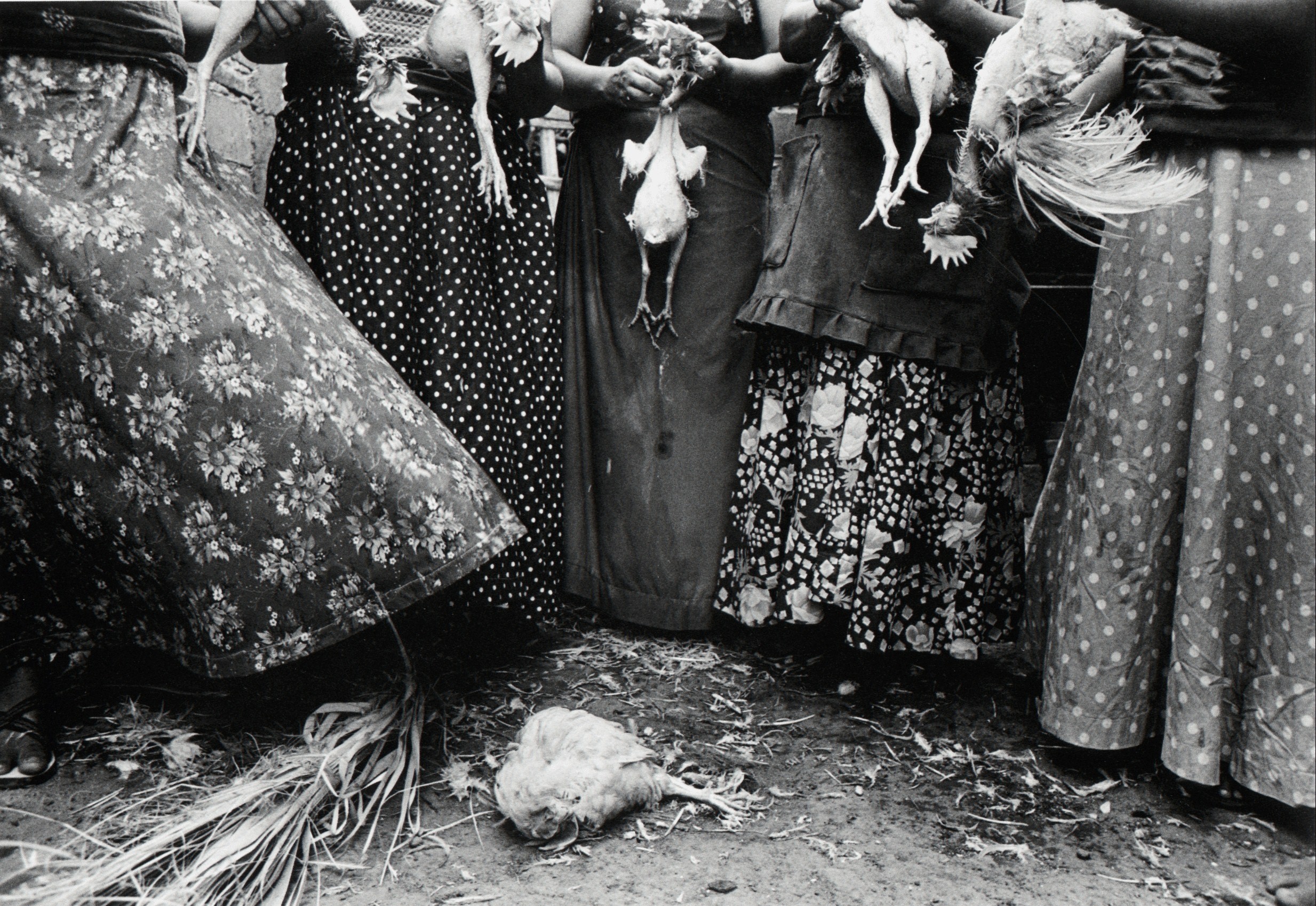 Ощипывание кур. Хучитан, Оахака, Мексика, 1986. Фотограф Грасьела Итурбиде