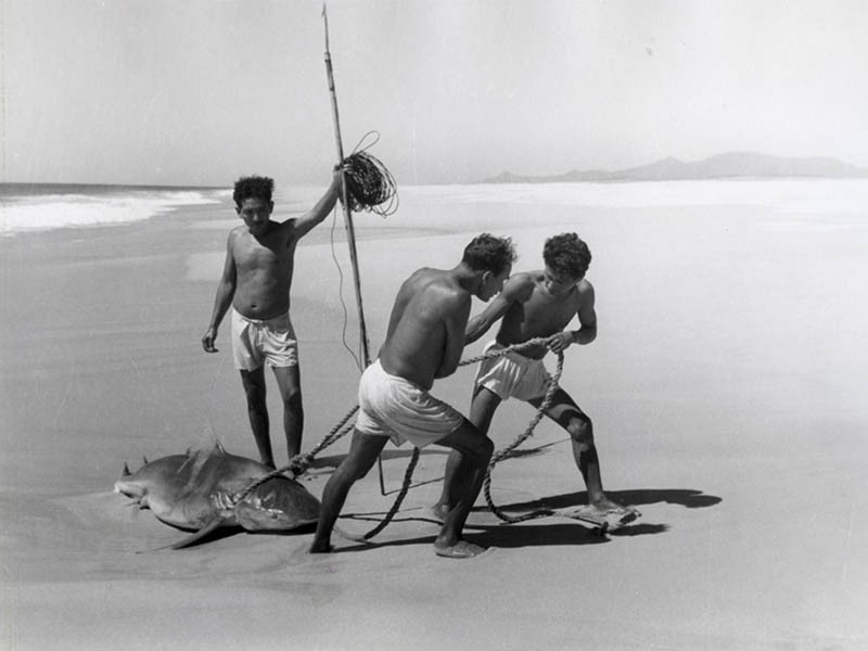 Рыбаки с акулой. Акапулько, 1950. Фотограф Лола Альварес Браво