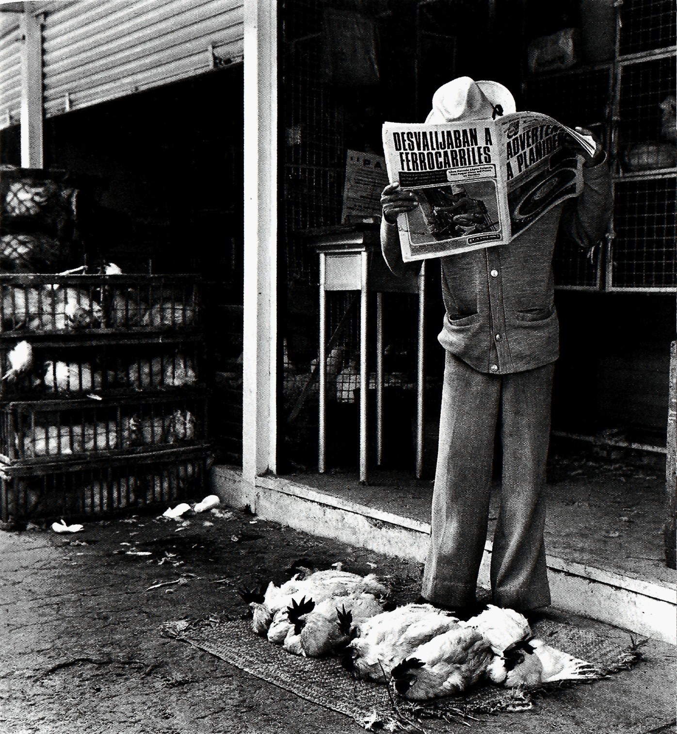 Сеньор с газетой и курами, ок. 1970. Фотограф Грасьела Итурбиде