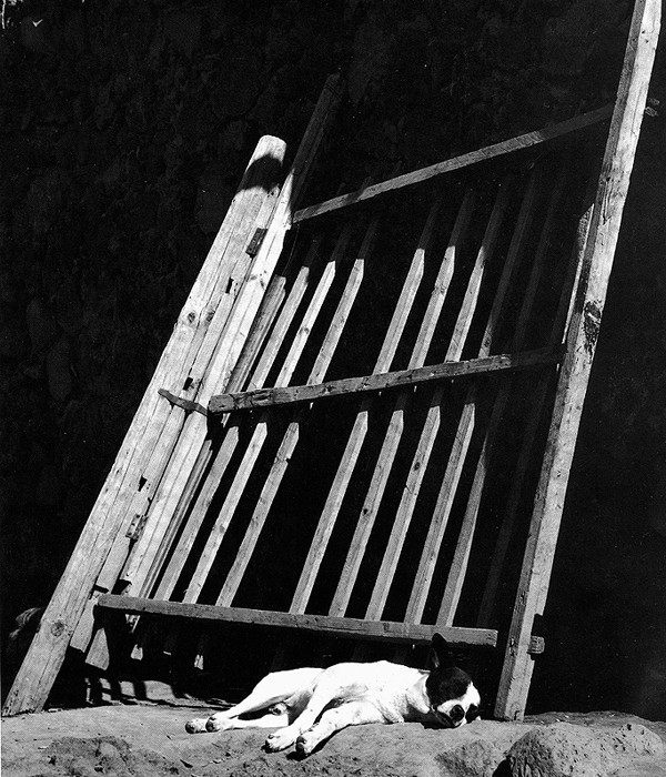Сон, 1966. Фотограф Мануэль Альварес Браво