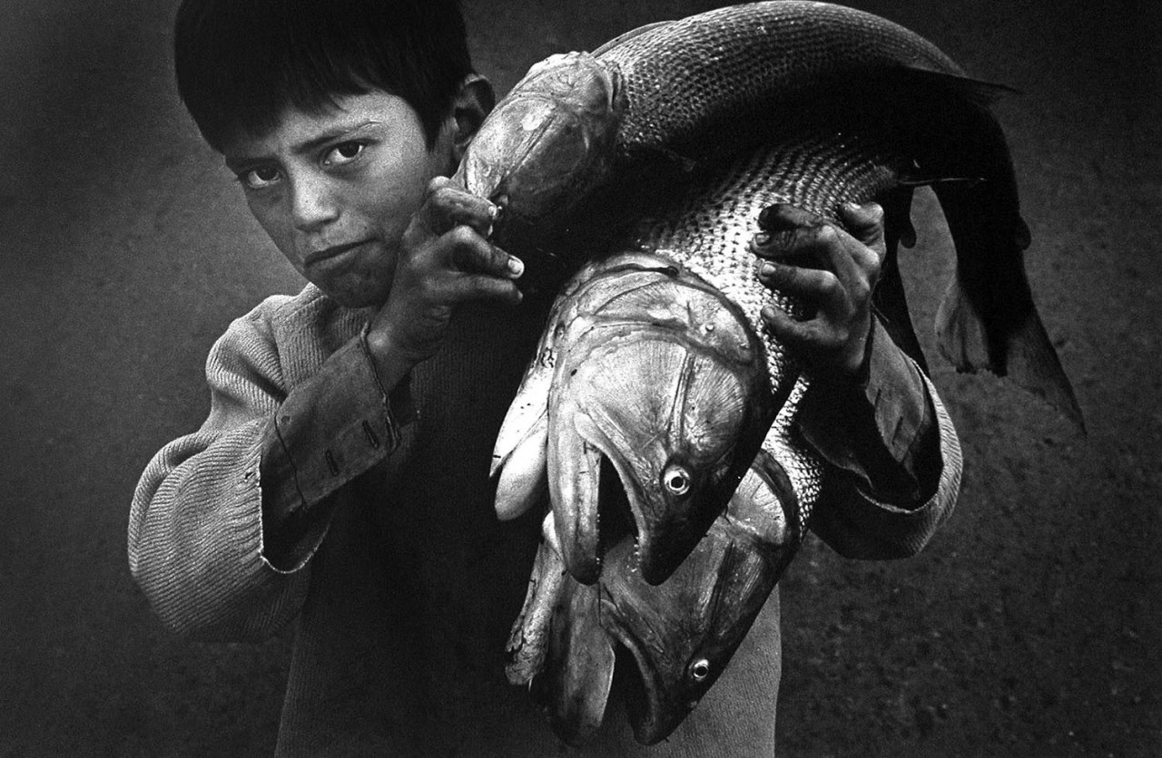 Мальчик с рыбой. Фотограф Педро Луис Раота