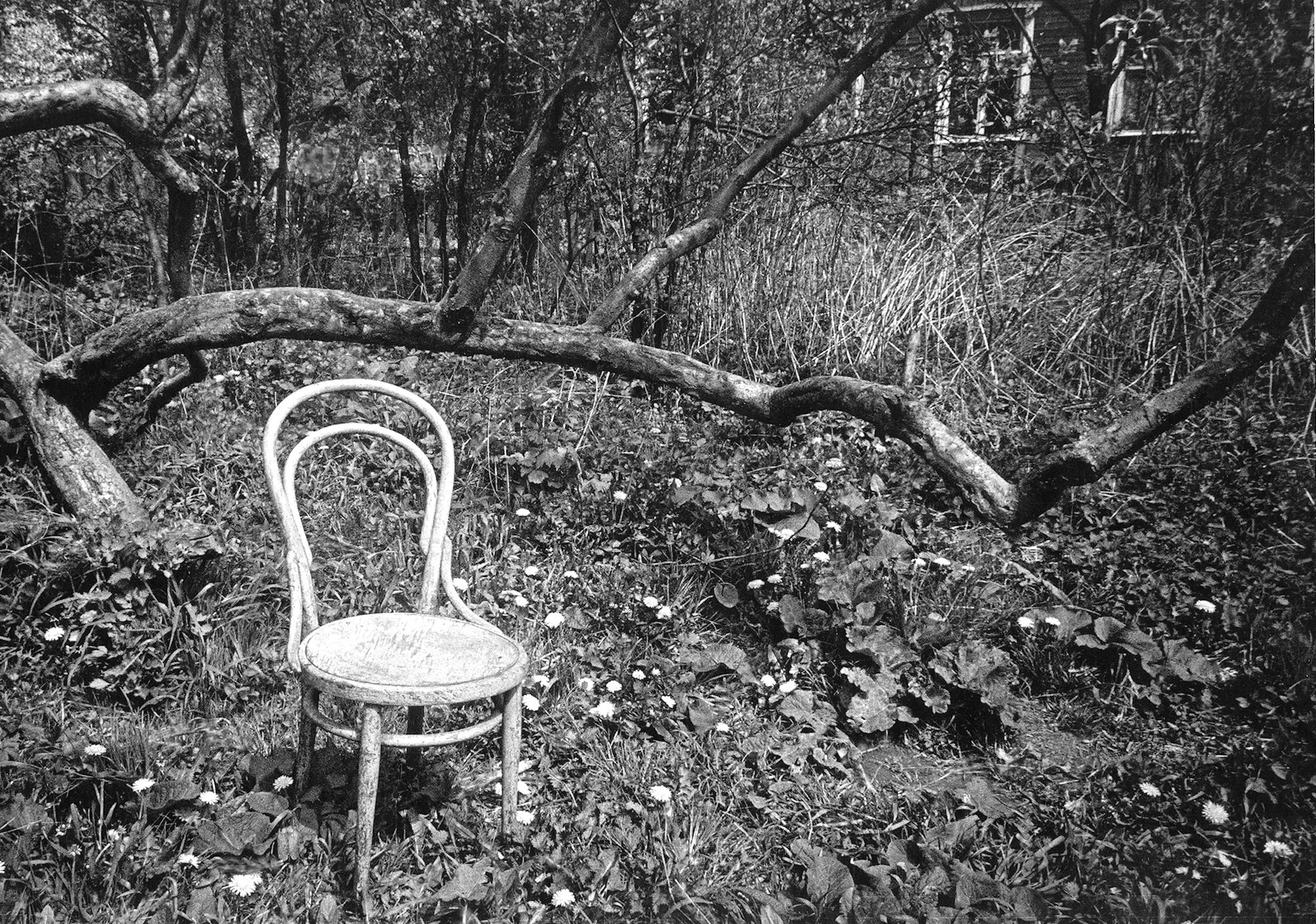 Сад, 1983. Фотограф Валерий Лобко