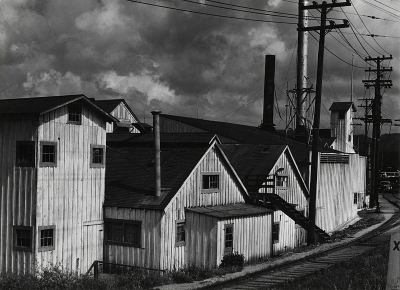 Консервный завод, Монтерей, Калифорния, 1939. Фотограф Альма Лэвенсон
