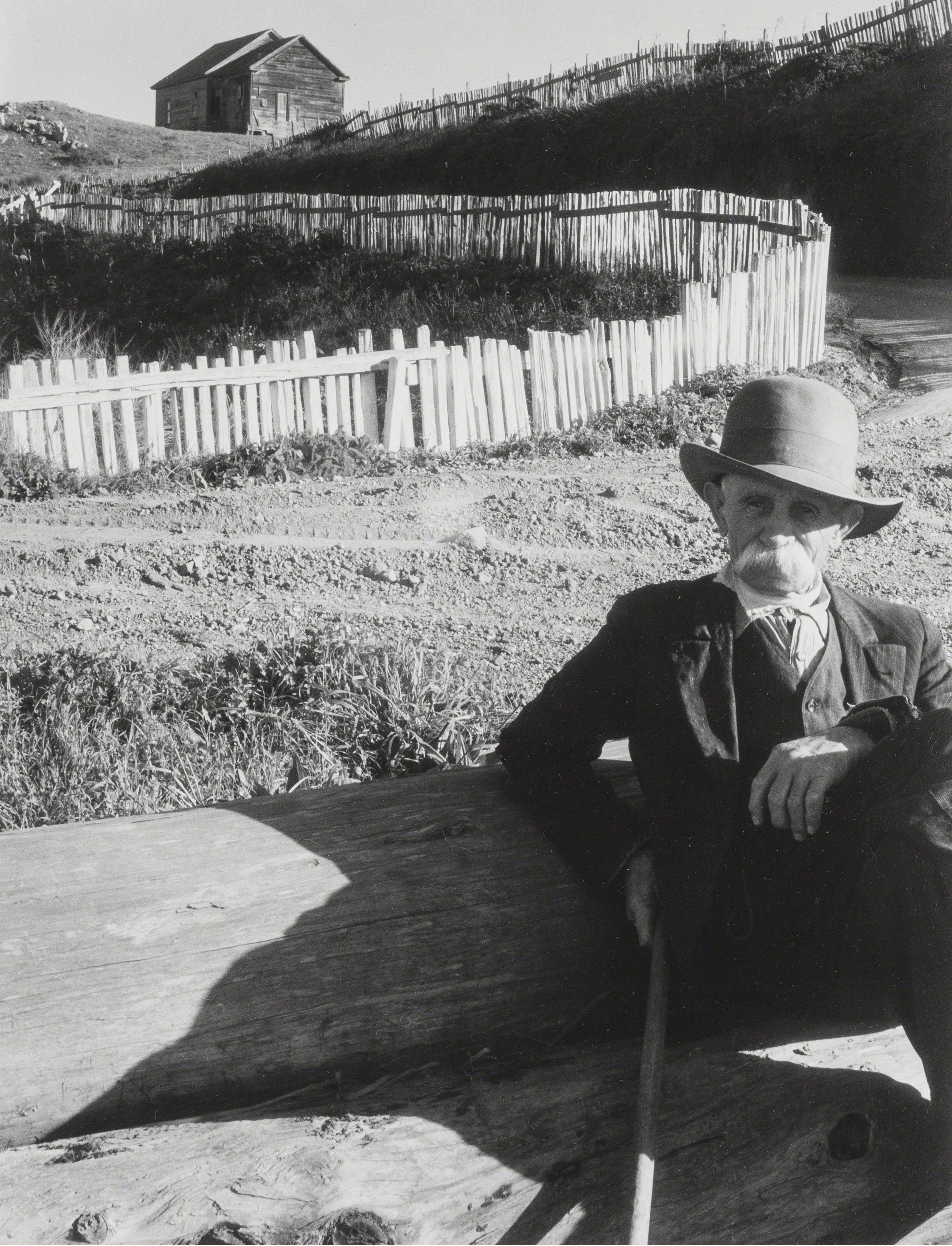Уроженец Северо-Запада, 1934. Фотограф Имоджен Каннингем