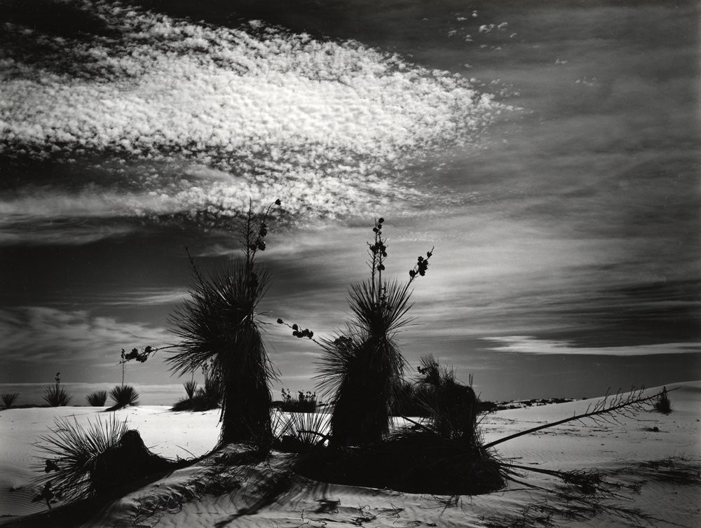 Белые пески, 1945. Фотограф Бретт Уэстон