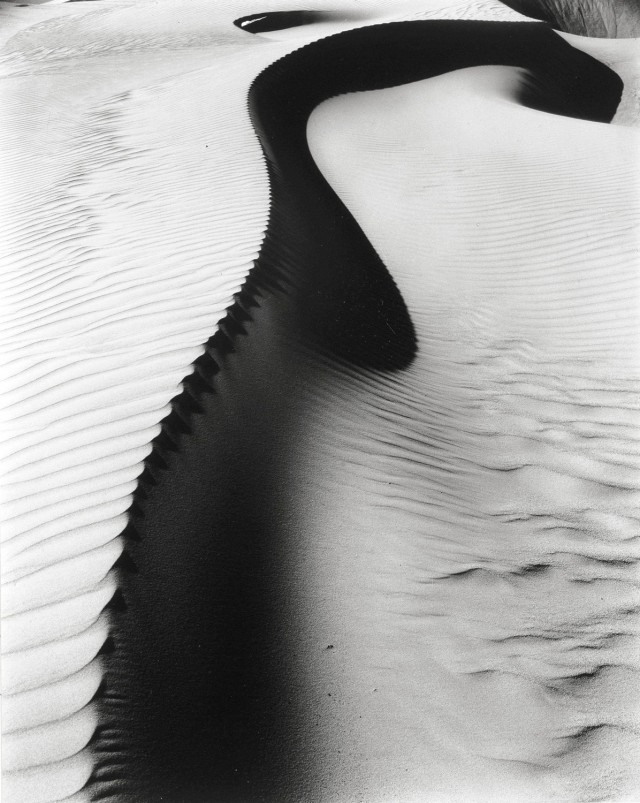 Дюна, 1934. Фотограф Бретт Уэстон