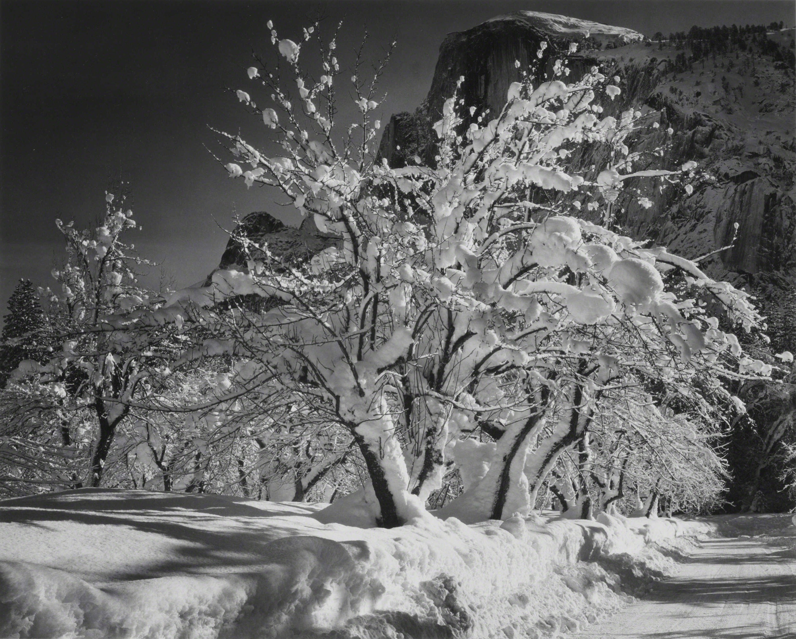 Зимний Йосемити, Калифорния, 1935. Фотограф Энсел Адамс