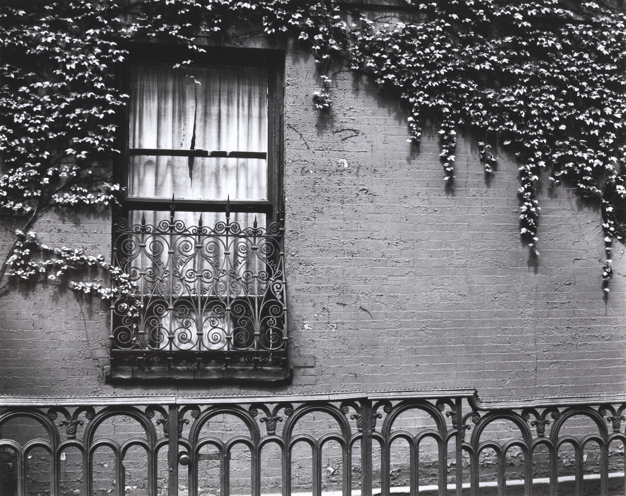 Окно, Нью-Йорк. Фотограф Бретт Уэстон