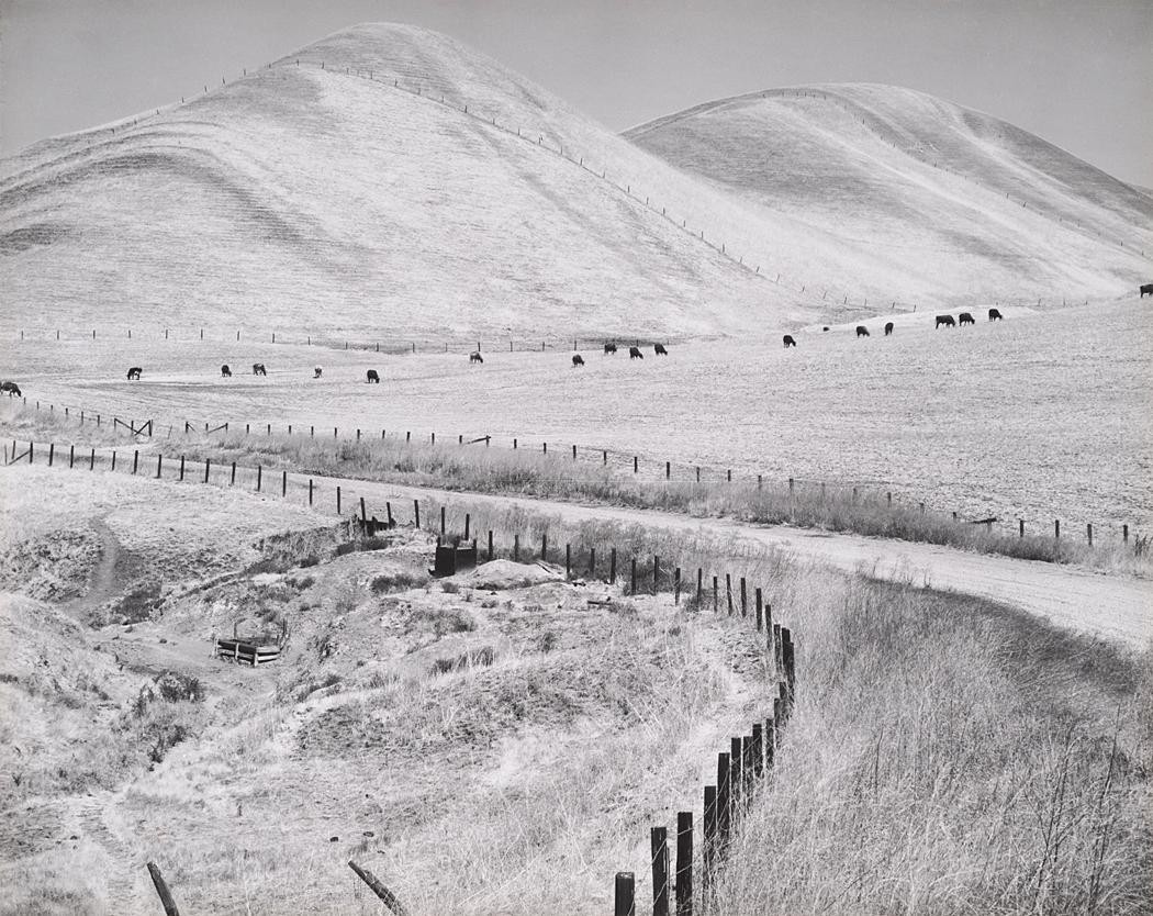 Пейзаж, 1930-е. Фотограф Соня Носковяк