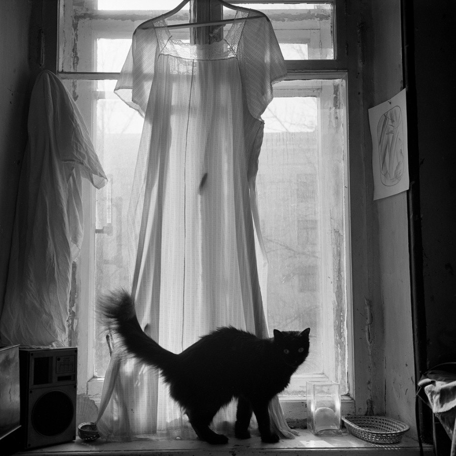 Кошка на окне, 1997. Фотограф Мария Снигиревская