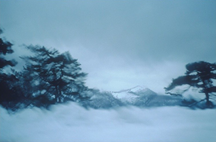 Первый снег, Корсика, 1998 год. Фотограф Долорес Марат