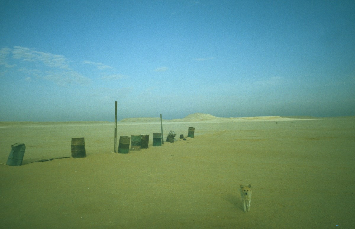 Собака и бочки, контрольно-пропускной пункт, Иордания. Фотограф Долорес Марат