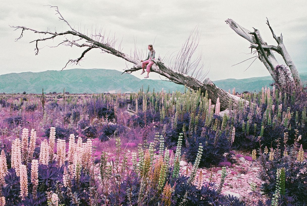 Фиолетовый новозеландский пейзаж. Фотограф Henry O. Head