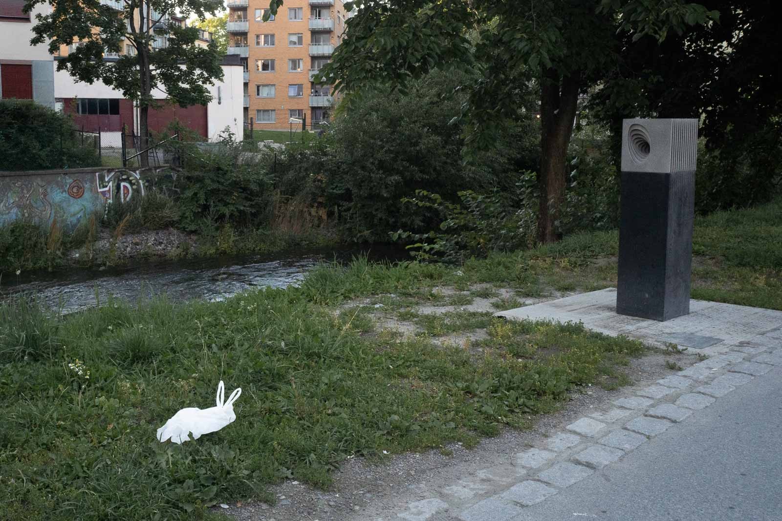 Осло, август 2020 года. Фотограф Пау Бускато