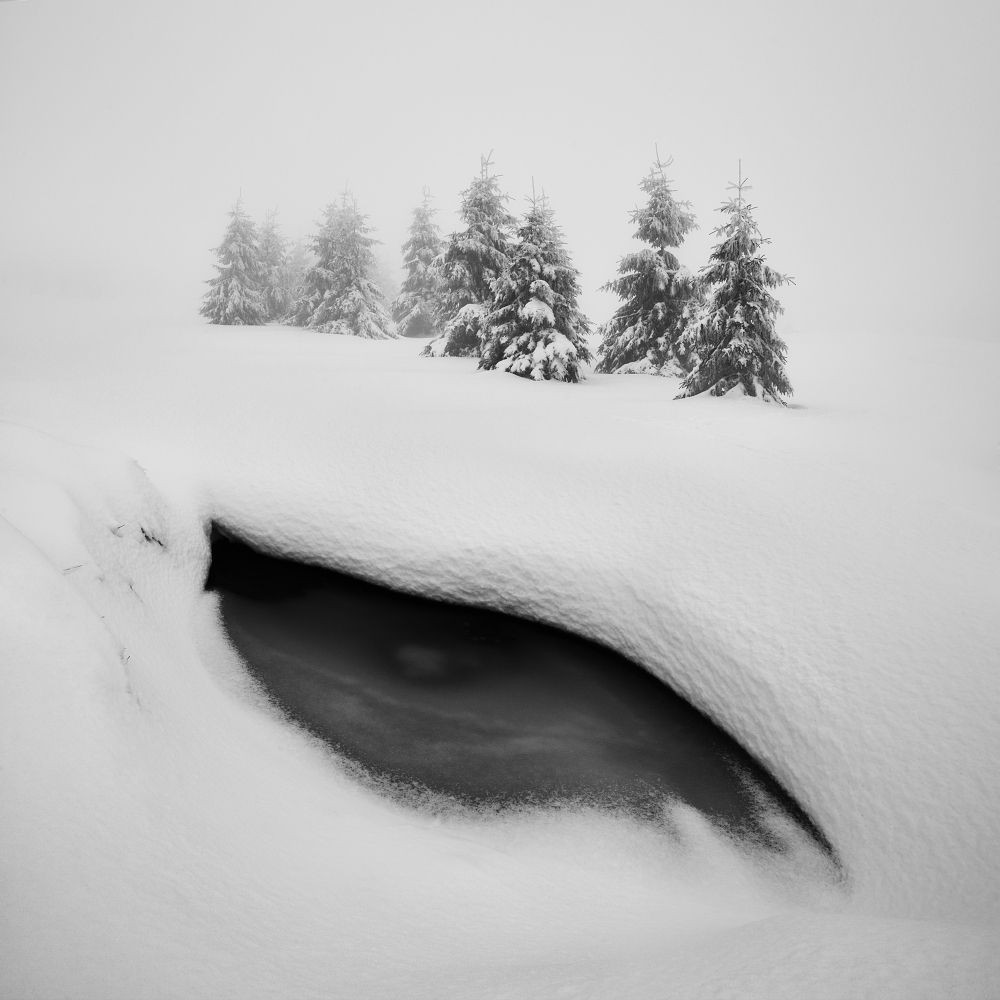 Глаз дракона. Рудные горы, Чехия. Автор Даниел Жежиха