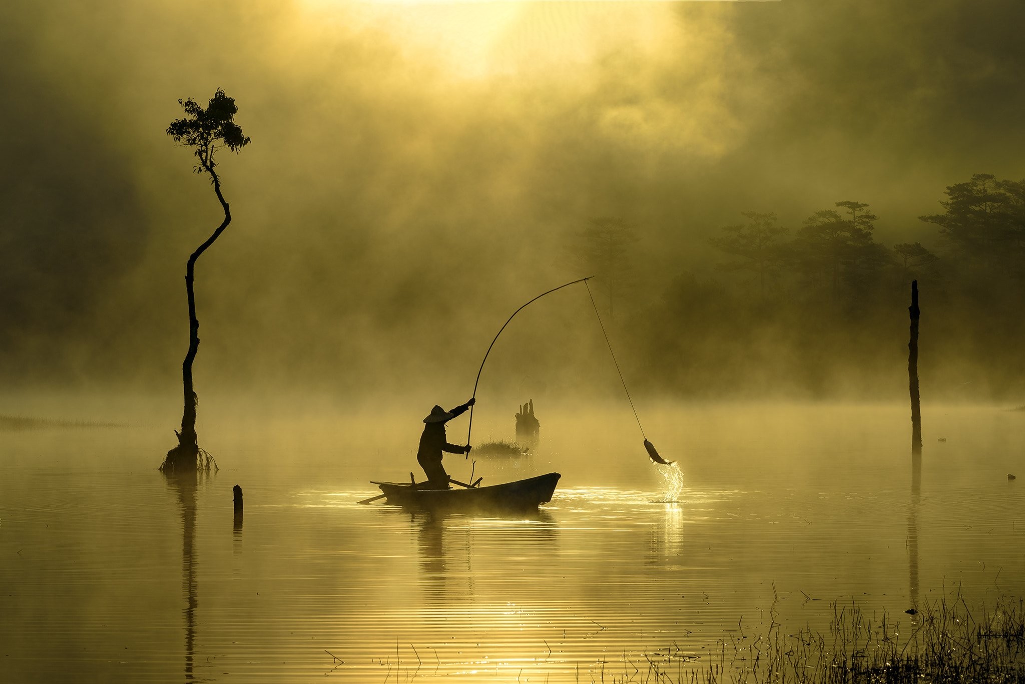 Утренняя рыбалка, Вьетнам, Хошимин. Автор Дунг Фам