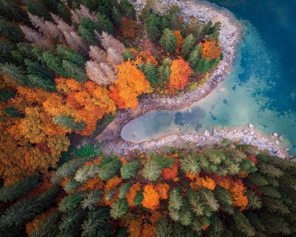 Аэрофотоснимок осенних деревьев вокруг озера в Италии. Фотограф Нина Лозей