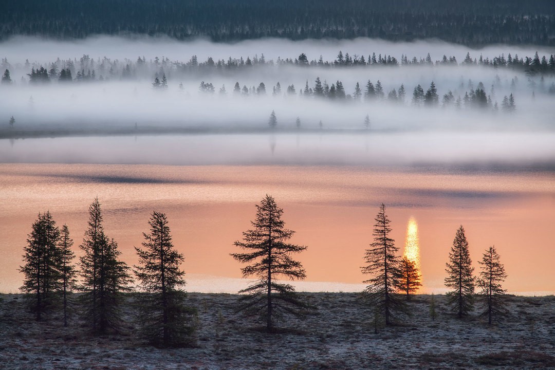 Снято на озере Момонтай. Фотограф Сергей Карпухин