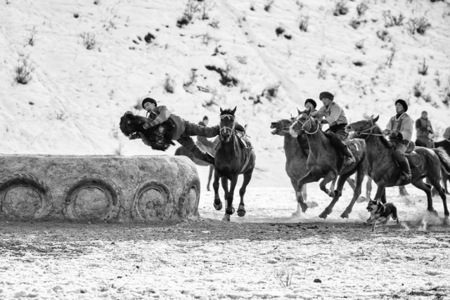Кокпар в Южном Казахстане. Фотограф Есентаев Серик