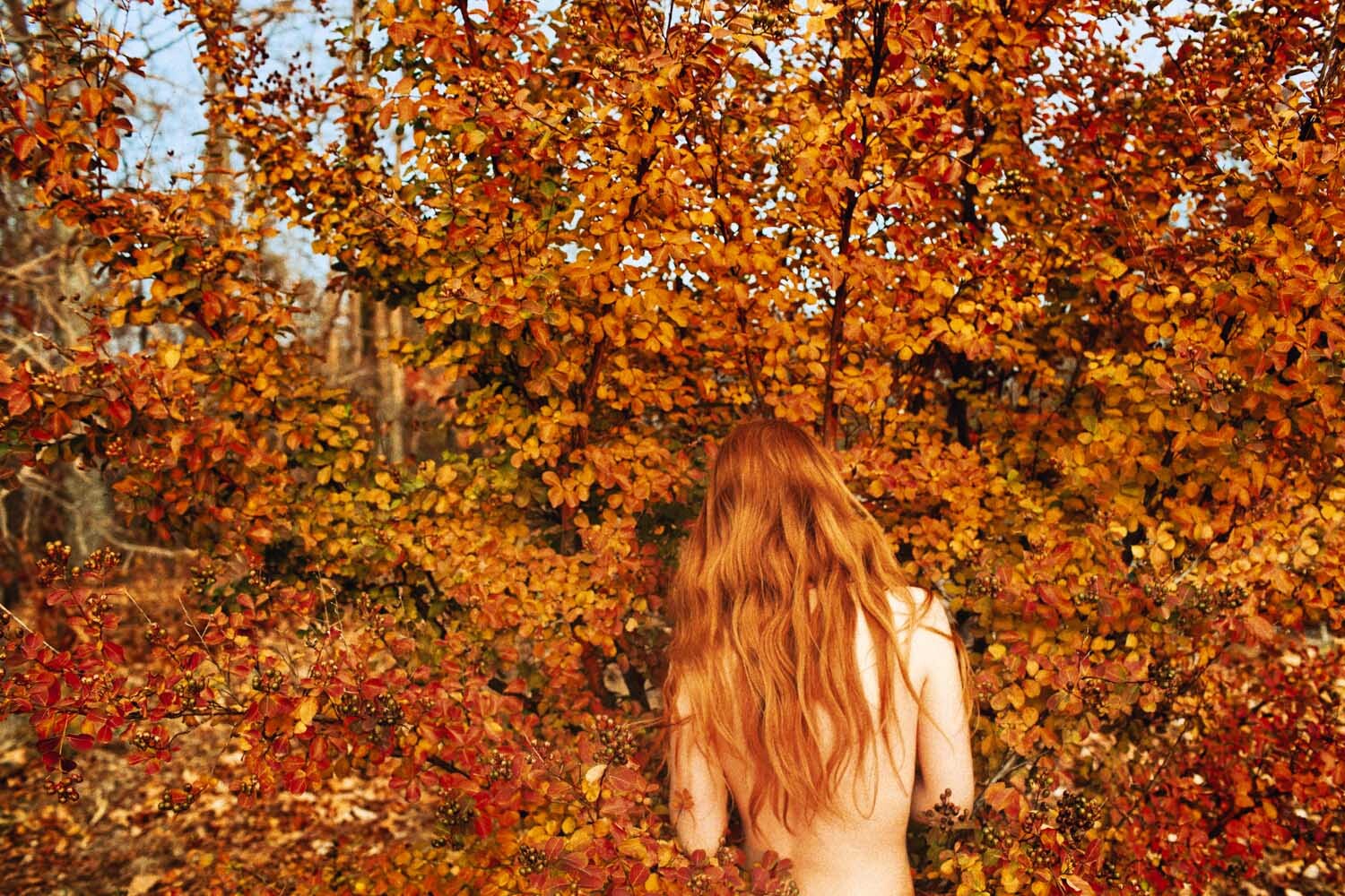 Листья (Осень), 2013 год. Фотограф Райан МакГинли